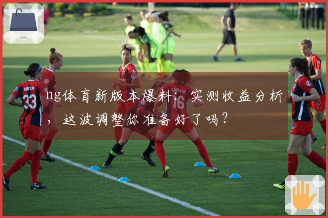 ng体育新版本爆料：实测收益分析，这波调整你准备好了吗？