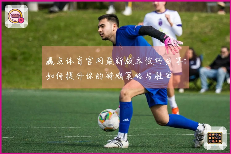 赢点体育官网最新版本技巧分享：如何提升你的游戏策略与胜率